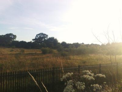 22072008075.jpg